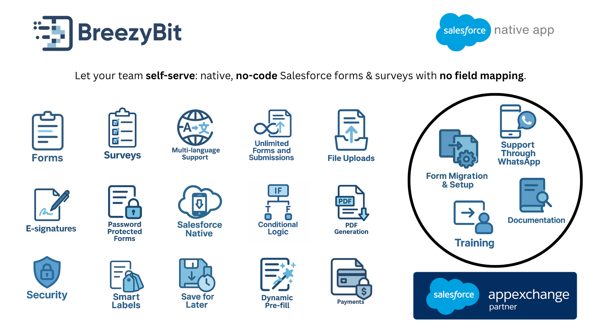 BreezyBit form builder interface in Salesforce